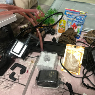 水槽セット　の画像