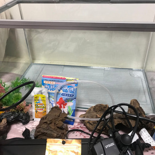水槽セット　の画像