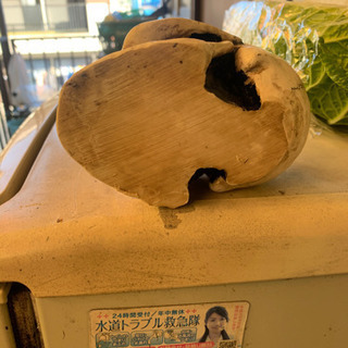 大きな骸骨!の画像
