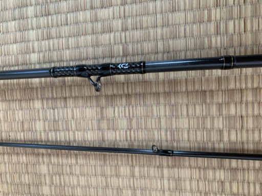 Daiwa モアザンエキスパートAGS93MLB