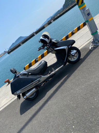 フュージョン  250