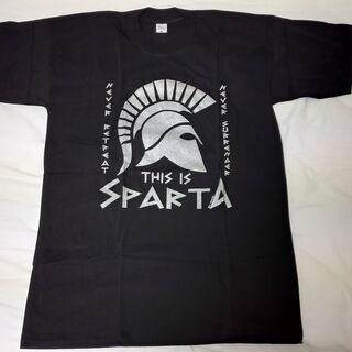 【新品】ギリシア土産のＴシャツ（３枚セット）　＊１枚１００円の画像