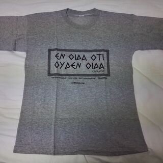 【新品】ギリシア土産のＴシャツ（３枚セット）　＊１枚１００円の画像