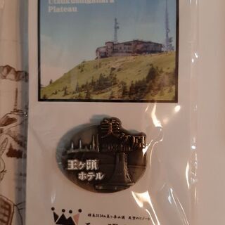 美ヶ原王ヶ頭ホテルピンバッチ2個の画像