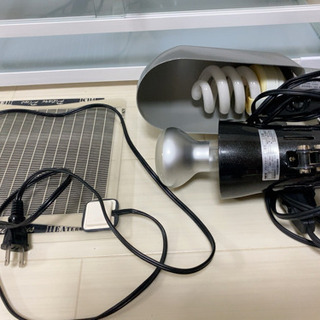 お取引中 爬虫類飼育用品セットの画像