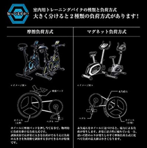 ALINCO(アルインコ) スピンバイク フィットネスバイク エクササイズ ダイエット【ブルー】 