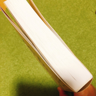 ほぼ新品　FACT FULNESSの画像