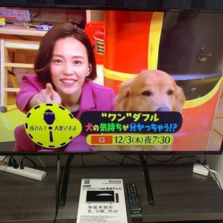 【引取限定】50V型 ULTRAHD 4K液晶テレビ 情熱価格 LE-5060TS4K