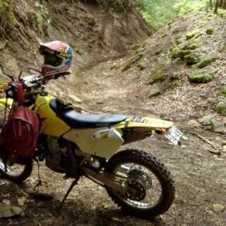 平日可能な方・オフロードバイクでの林道散策、山遊びなど - 市原市