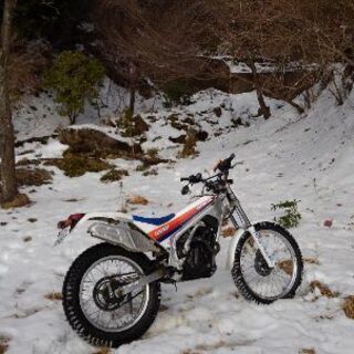 平日可能な方・オフロードバイクでの林道散策、山遊びなど − 千葉県