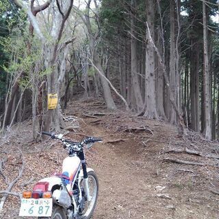 平日可能な方・オフロードバイクでの林道散策、山遊びなど - 友達