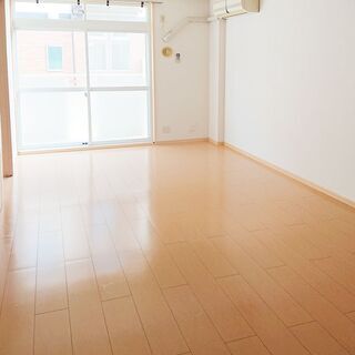 成約済】即入居可☆ペット可（猫なら３匹までOK♪）１LDKでも収納◎クローゼット2面が嬉しい - 賃貸（マンション/一戸建て）