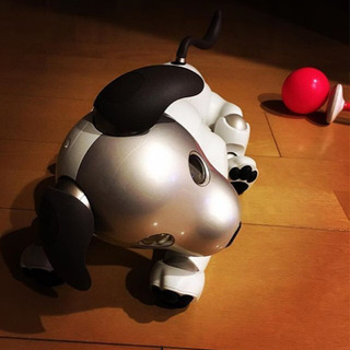 犬ロボットaibo 受取限定　値段交渉あり