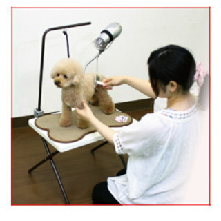 ！！取引決定！！7日9時半☆ペット用 グルーミングテーブル PG...