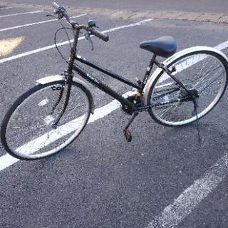 ?自転車入荷?Free Time