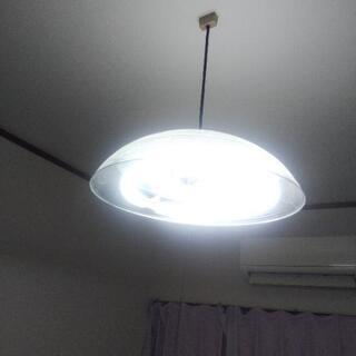 ペンダントライト✨の画像