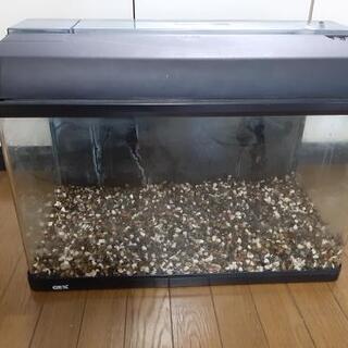 60ｃｍ水槽セット/メダカや熱帯魚に
