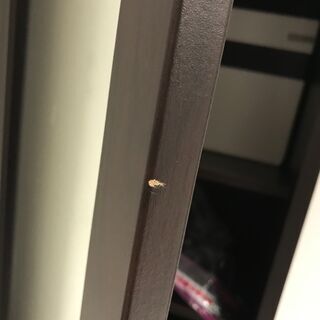 ミラー棚の画像