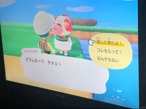 ?【大人気】任天堂Switchあつまれどうぶつの森同梱版