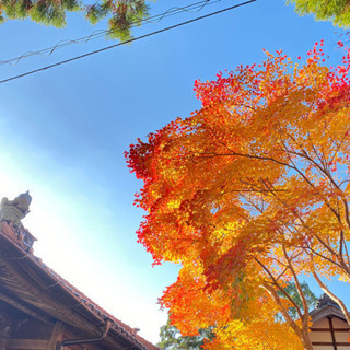 映え部募集❤️ − 和歌山県