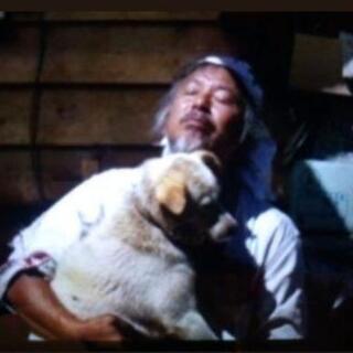 被災地に置き去りにされた動物達に！【通年】