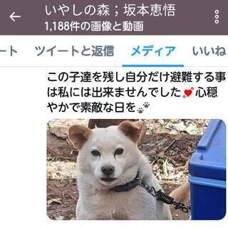 被災地に置き去りにされた動物達に！【通年】 - 双葉郡