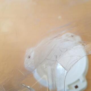 ベイブレードスタジアム 使ってくれる方の画像