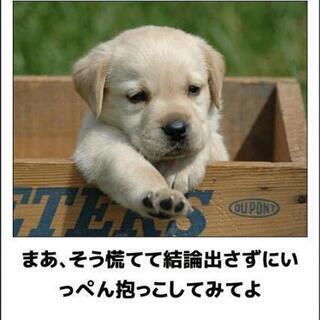 見たい映画がある時に気軽に誘い合える趣味友達募集😃