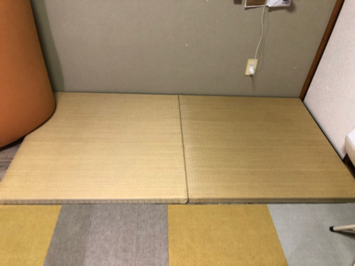 畳2枚(4枚あります)