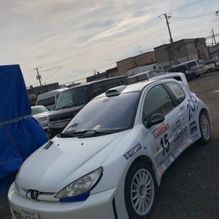 プジョー206s16 MT WRC仕様　の画像