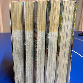 orange オレンジ　高野苺の画像