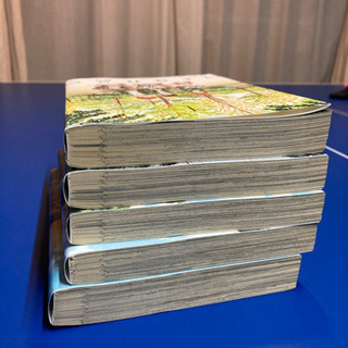 orange オレンジ　高野苺の画像