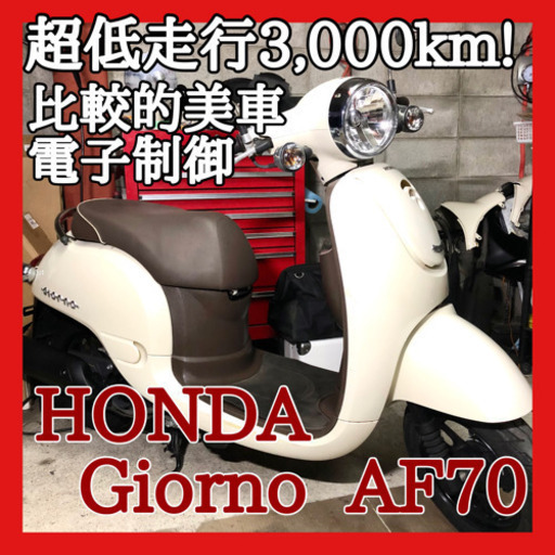 ☆安心の点検整備.動画☆ホンダ ジョルノ AF70☆超低走行な良質個体！新品部品多数整備で抜群！なかなか出てこない良質個体を逃すな！