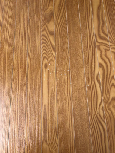 フローリングカーペット　255×350