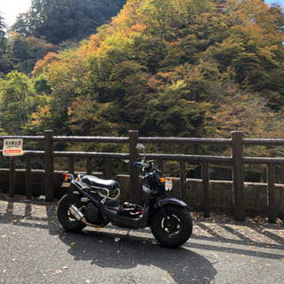 ホンダ ズーマー