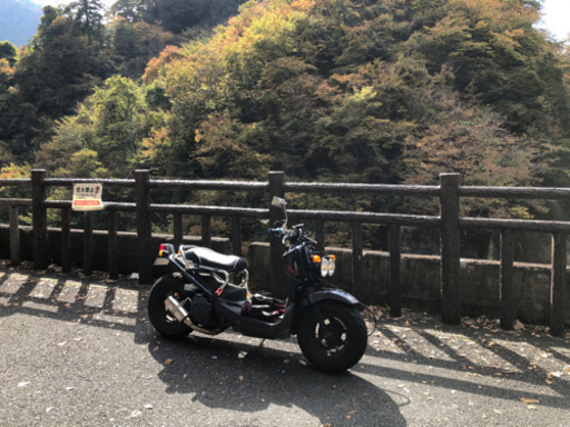 ホンダ ズーマー