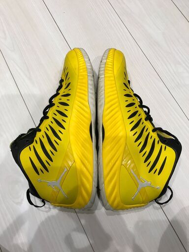 Jordan 靴 290cm