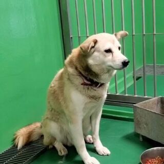 命の期限が迫っています　助けて　🆘下さい