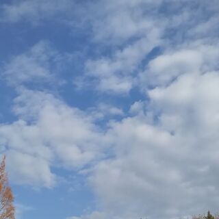 今週はご一緒出来る方がいなかったので、一人飛込してきました。
