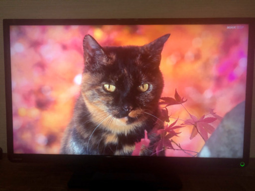 ◇32型 液晶テレビ REGZA◇
