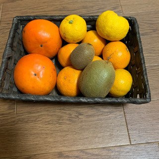 季節の果物(２)