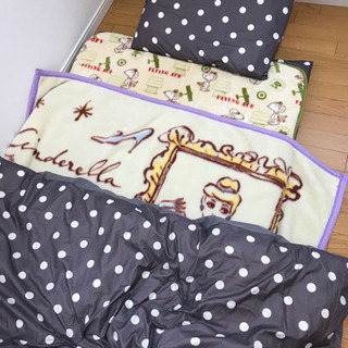 まとめて引き取ってくださる方に差し上げます。