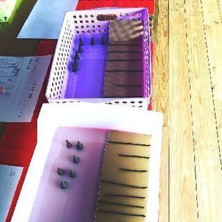 ～お香作りワークショップ～の画像