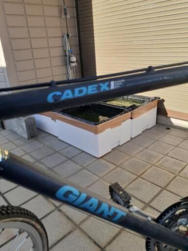 GIANT  CADEX      カーボン