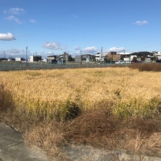 農家の画像