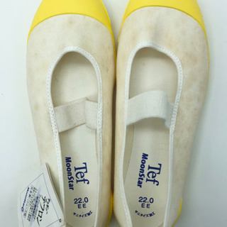あげます❣️ 未使用の上履き■22.0cmの画像