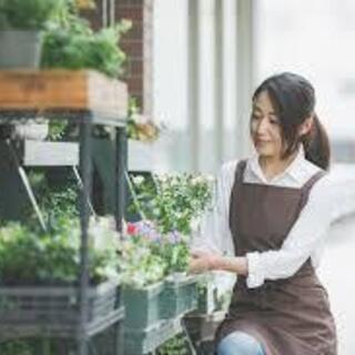 短期→12月末まで！！軽くてラクラク♪お花の梱包