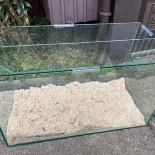 水槽60cm美品