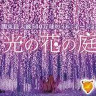 １２月１９日（土）全国イルミネーションランキングイルミネーション...