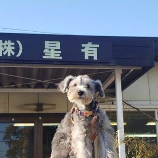 土工作業員募集！創業50年続く会社です。